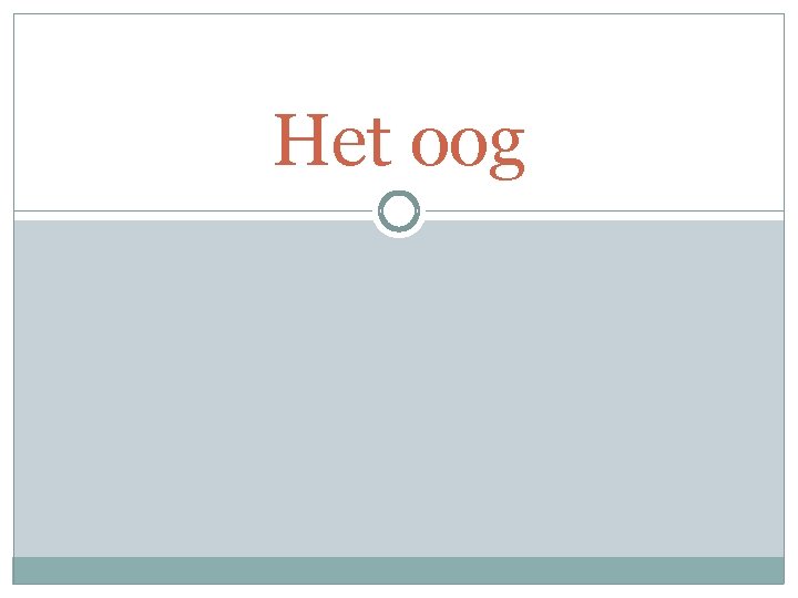 Het oog 