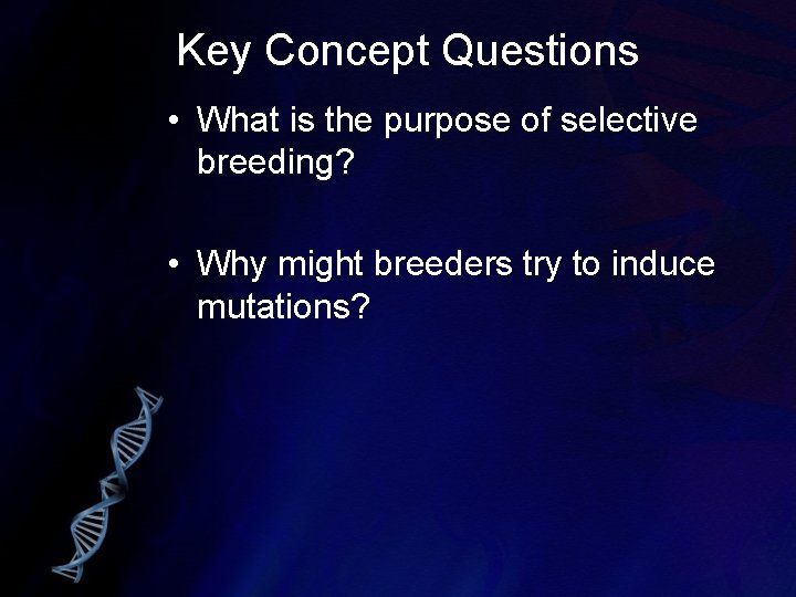 Chapter 13 Genetic Engineering Brain Teaser How Can