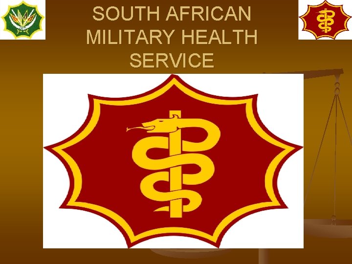 SOUTH AFRICAN MILITARY HEALTH SERVICE 