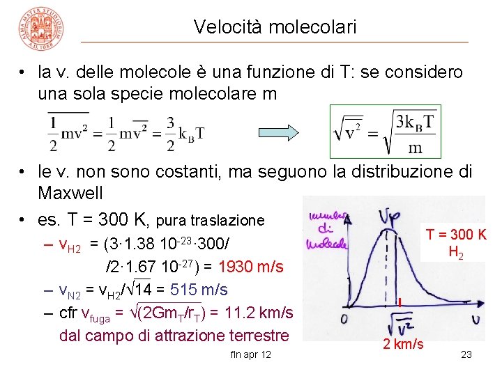 Velocità molecolari • la v. delle molecole è una funzione di T: se considero