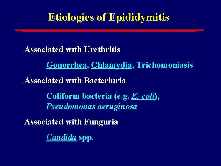 Etiologies of Epididymitis Associated with Urethritis Gonorrhea, Chlamydia, Trichomoniasis Associated with Bacteriuria Coliform bacteria