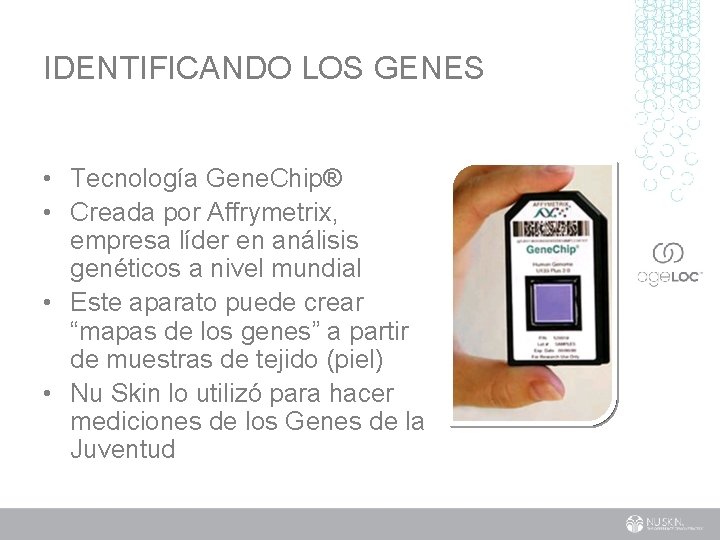 IDENTIFICANDO LOS GENES • Tecnología Gene. Chip® • Creada por Affrymetrix, empresa líder en