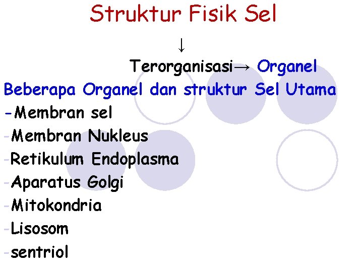 Struktur Fisik Sel ↓ Terorganisasi→ Organel Beberapa Organel dan struktur Sel Utama -Membran sel