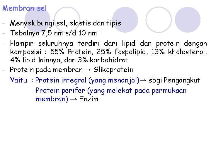 Membran sel - Menyelubungi sel, elastis dan tipis - Tebalnya 7, 5 nm s/d