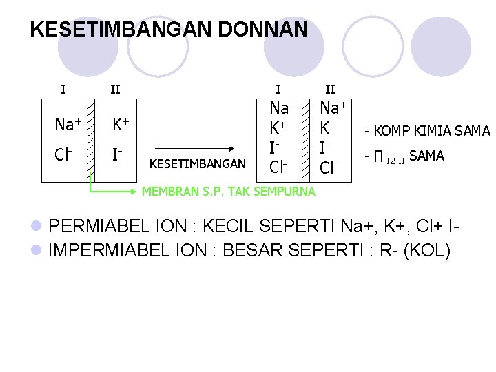 KESETIMBANGAN DONNAN I II Na+ K+ Cl- I- I KESETIMBANGAN Na+ K+ ICl- II