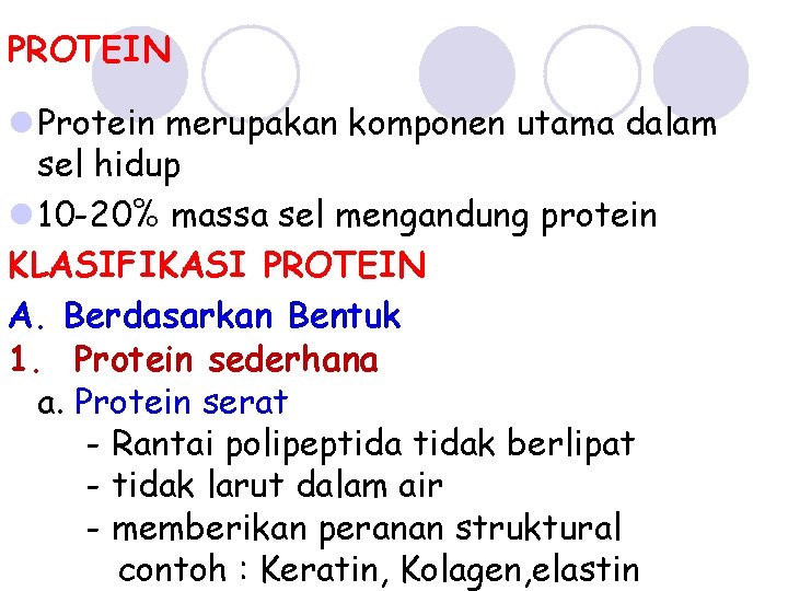 PROTEIN l Protein merupakan komponen utama dalam sel hidup l 10 -20% massa sel