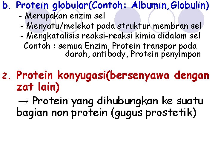 b. Protein globular(Contoh: Albumin, Globulin) - Merupakan enzim sel - Menyatu/melekat pada struktur membran