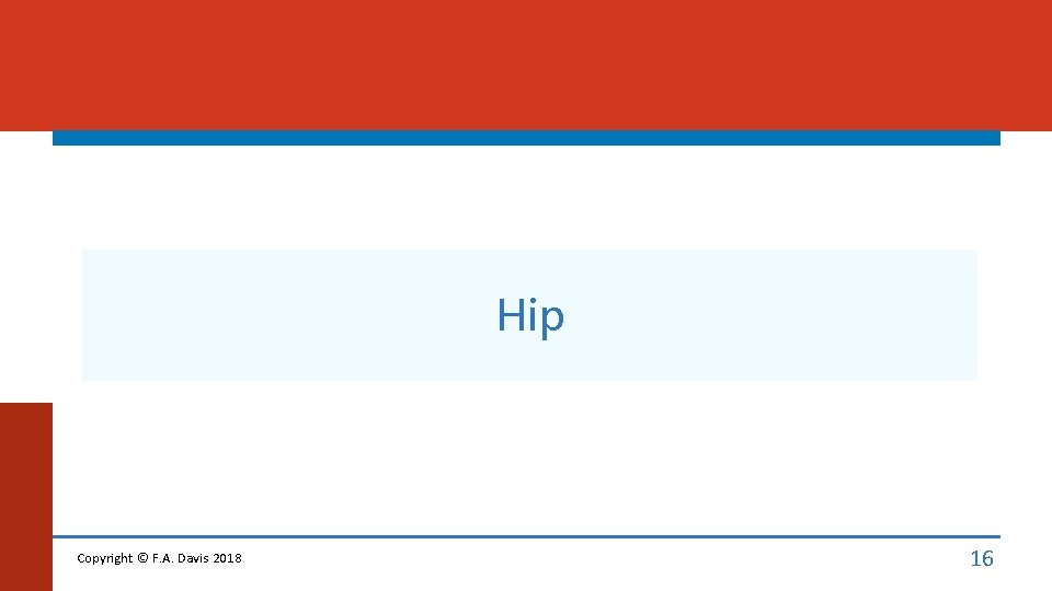 Hip Copyright © F. A. Davis 2018 16 