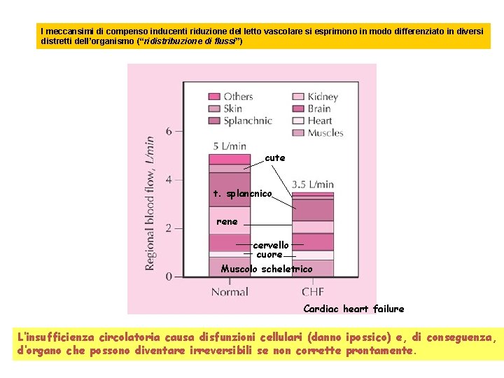 I meccansimi di compenso inducenti riduzione del letto vascolare si esprimono in modo differenziato