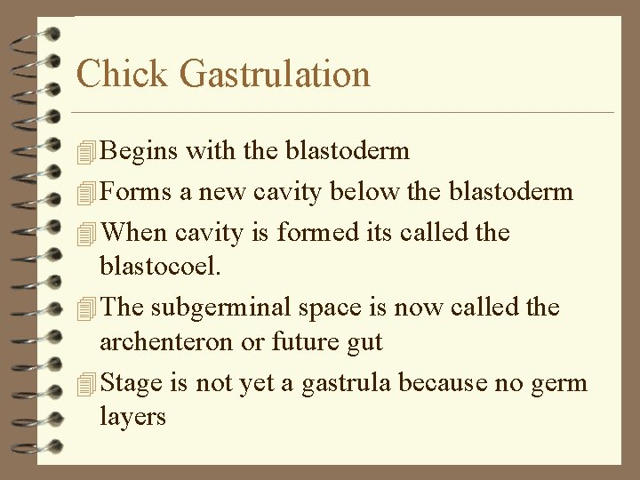 Chick Gastrulation 4 Begins with the blastoderm 4 Forms a new cavity below the