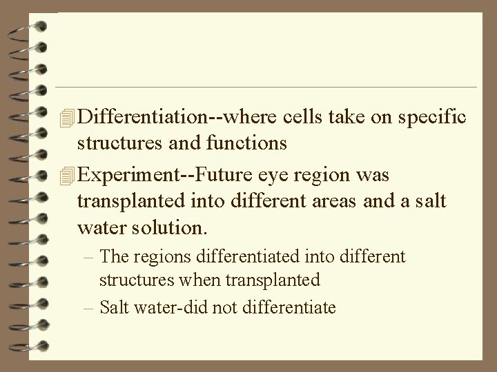 4 Differentiation--where cells take on specific structures and functions 4 Experiment--Future eye region was