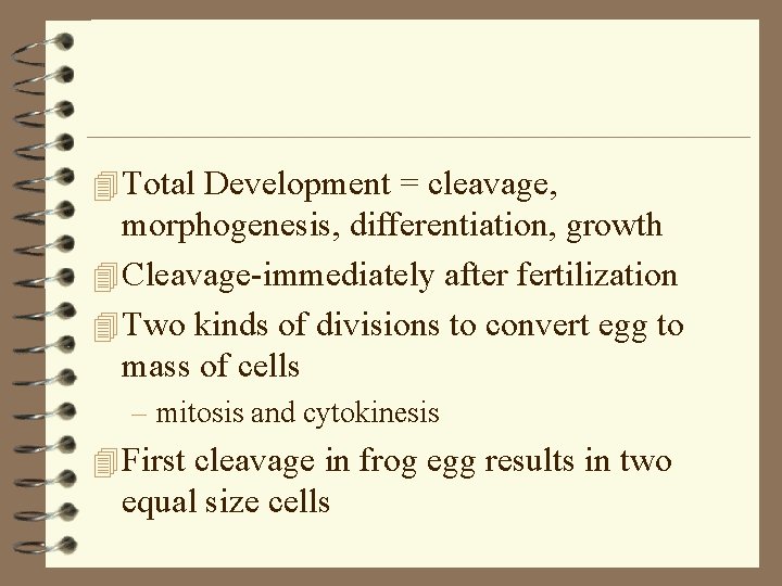 4 Total Development = cleavage, morphogenesis, differentiation, growth 4 Cleavage-immediately after fertilization 4 Two
