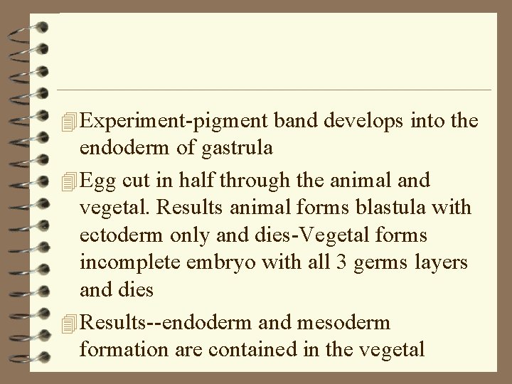 4 Experiment-pigment band develops into the endoderm of gastrula 4 Egg cut in half