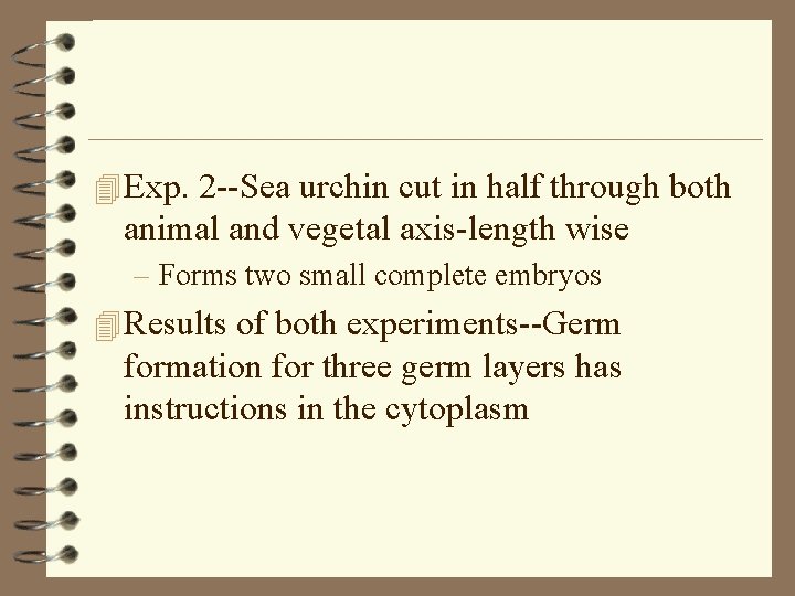 4 Exp. 2 --Sea urchin cut in half through both animal and vegetal axis-length