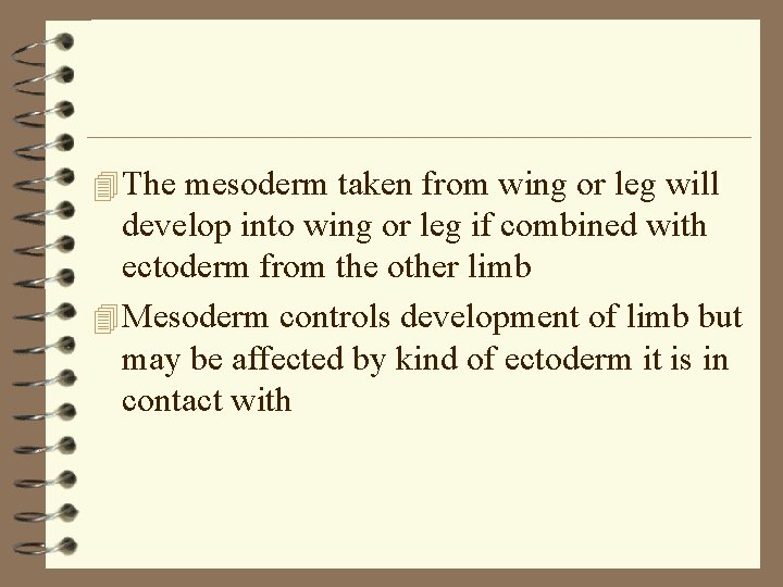 4 The mesoderm taken from wing or leg will develop into wing or leg