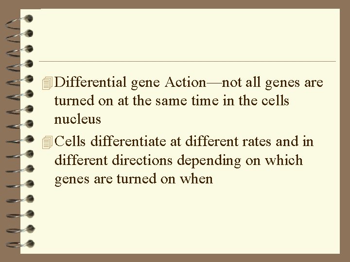 4 Differential gene Action—not all genes are turned on at the same time in