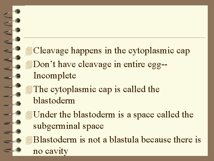 4 Cleavage happens in the cytoplasmic cap 4 Don’t have cleavage in entire egg--