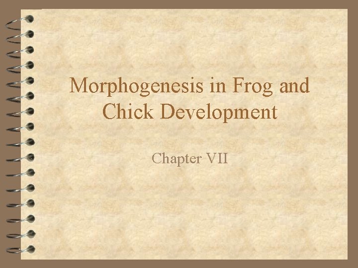 Morphogenesis in Frog and Chick Development Chapter VII 