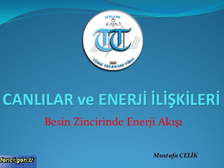 CANLILAR ve ENERJİ İLİŞKİLERİ Besin Zincirinde Enerji Akışı Mustafa ÇELİK 