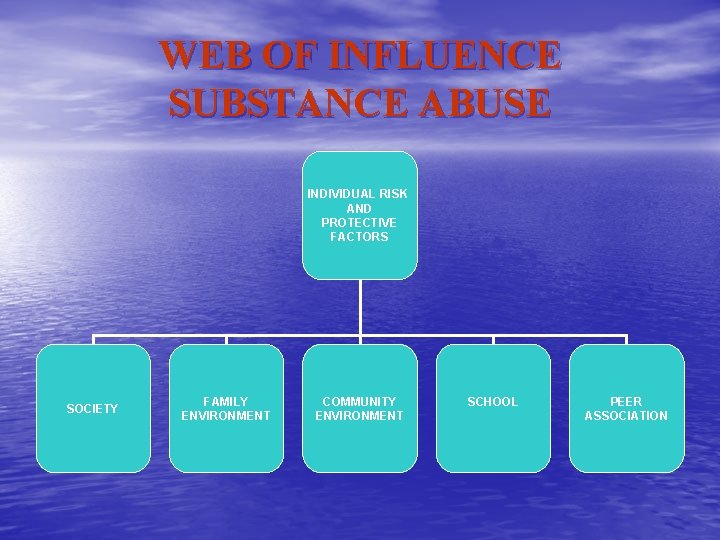 WEB OF INFLUENCE SUBSTANCE ABUSE INDIVIDUAL RISK AND PROTECTIVE FACTORS SOCIETY FAMILY ENVIRONMENT COMMUNITY