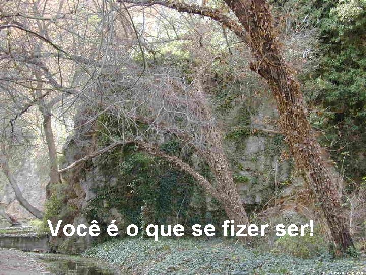 Você é o que se fizer ser! 