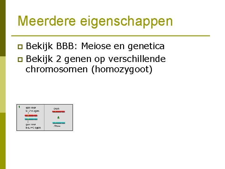 Meerdere eigenschappen Bekijk BBB: Meiose en genetica p Bekijk 2 genen op verschillende chromosomen