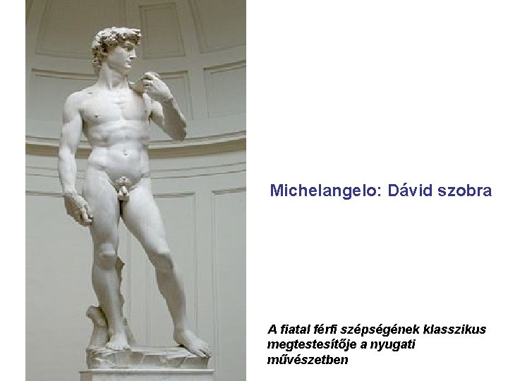 Michelangelo: Dávid szobra A fiatal férfi szépségének klasszikus megtestesítője a nyugati művészetben 