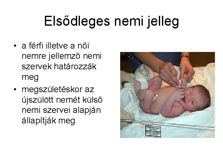 Elsődleges nemi jelleg • a férfi illetve a női nemre jellemző nemi szervek határozzák