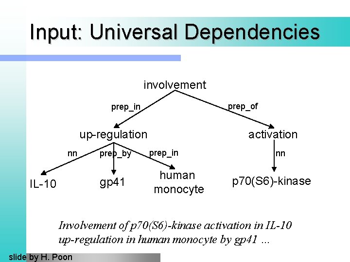 Input: Universal Dependencies involvement prep_of prep_in up-regulation nn prep_by gp 41 IL-10 activation prep_in