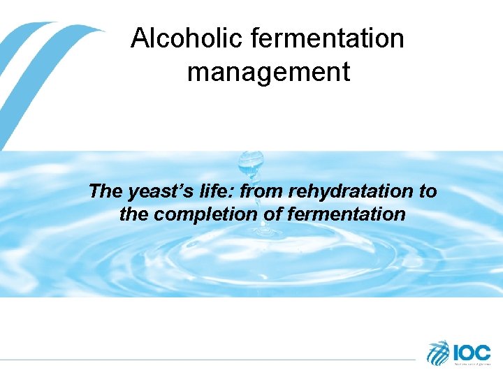 Alcoholic fermentation management The yeast’s life: from rehydratation to the completion of fermentation 