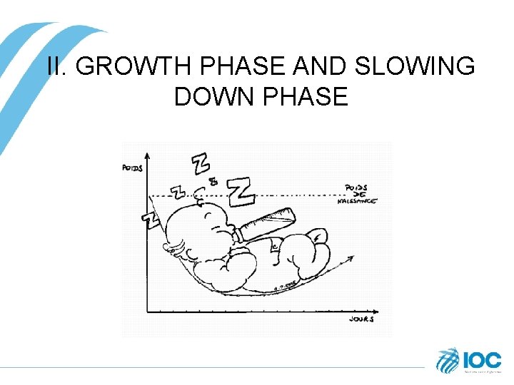 II. GROWTH PHASE AND SLOWING DOWN PHASE 