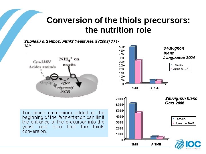 Conversion of the thiols precursors: the nutrition role Subileau & Salmon, FEMS Yeast Res