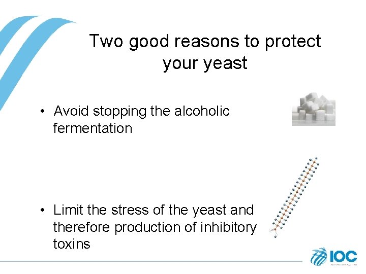 Two good reasons to protect your yeast • Avoid stopping the alcoholic fermentation •