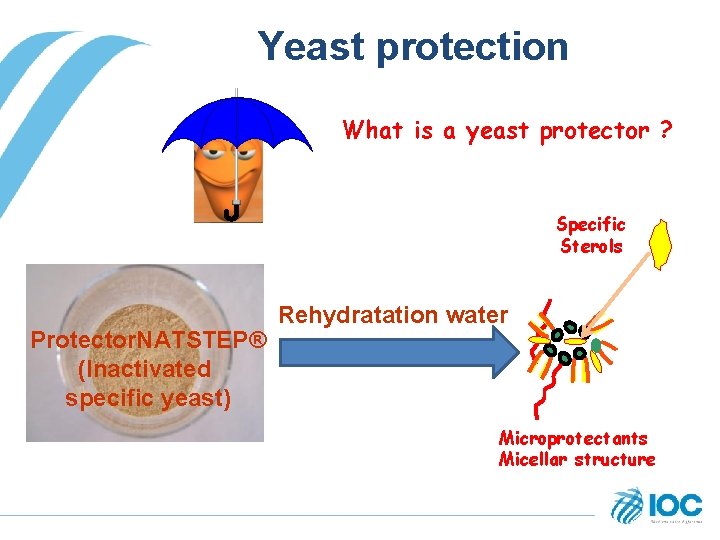 Yeast protection What is a yeast protector ? Specific Sterols Protector. NATSTEP® (Inactivated specific