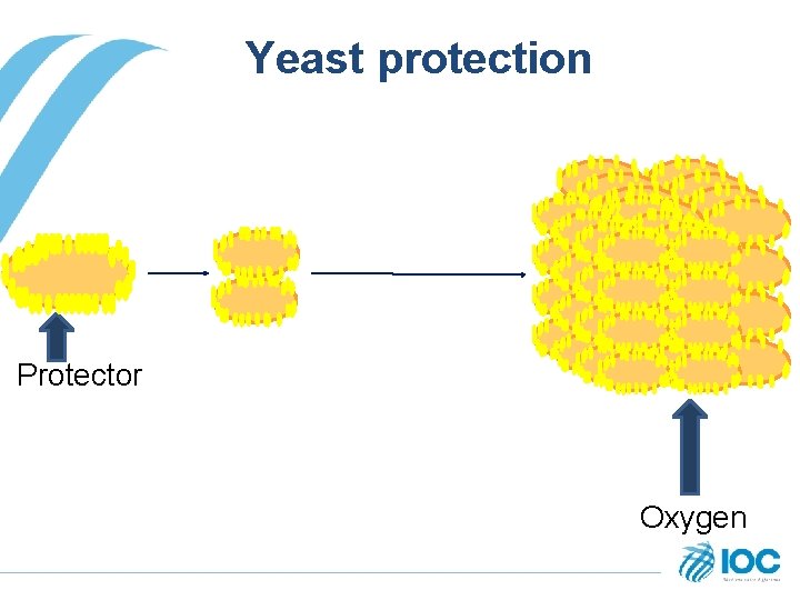 Yeast protection Protector Oxygen 