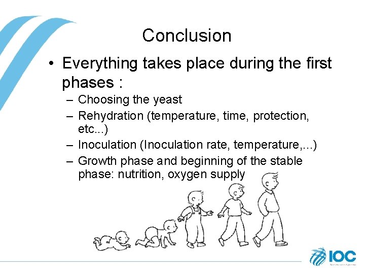 Conclusion • Everything takes place during the first phases : – Choosing the yeast