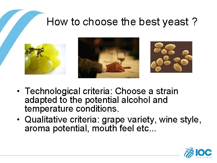 How to choose the best yeast ? • Technological criteria: Choose a strain adapted