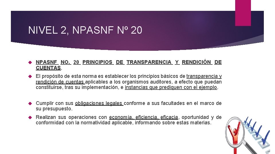 NIVEL 2, NPASNF Nº 20 NPASNF NO. 20 PRINCIPIOS DE TRANSPARENCIA Y RENDICIÓN DE