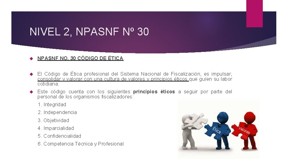 NIVEL 2, NPASNF Nº 30 NPASNF NO. 30 CÓDIGO DE ÉTICA. El Código de