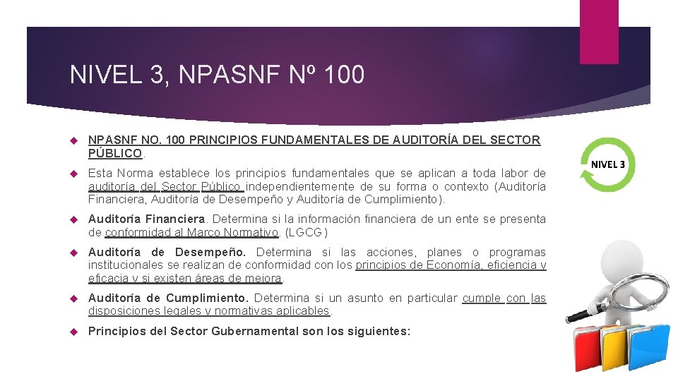 NIVEL 3, NPASNF Nº 100 NPASNF NO. 100 PRINCIPIOS FUNDAMENTALES DE AUDITORÍA DEL SECTOR