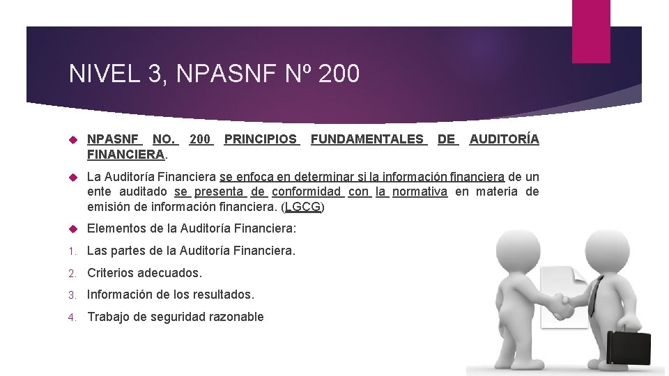 NIVEL 3, NPASNF Nº 200 NPASNF NO. 200 PRINCIPIOS FUNDAMENTALES DE AUDITORÍA FINANCIERA. La