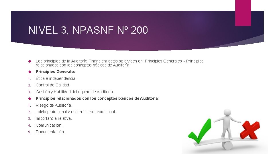 NIVEL 3, NPASNF Nº 200 Los principios de la Auditoría Financiera estos se dividen