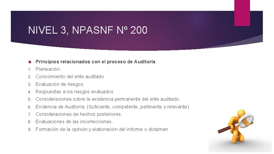 NIVEL 3, NPASNF Nº 200 Principios relacionados con el proceso de Auditoría: 1. Planeación.