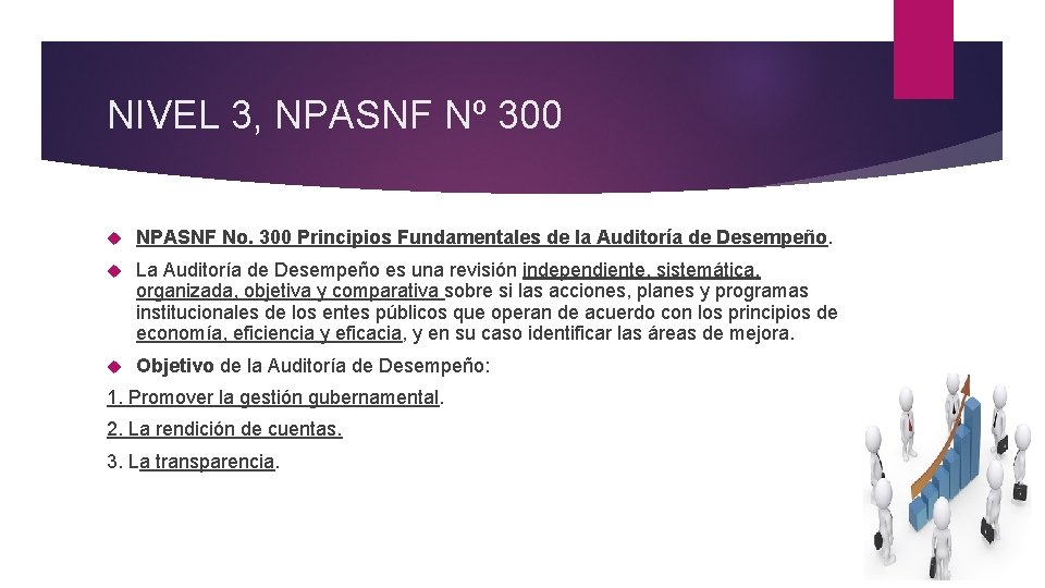 NIVEL 3, NPASNF Nº 300 NPASNF No. 300 Principios Fundamentales de la Auditoría de