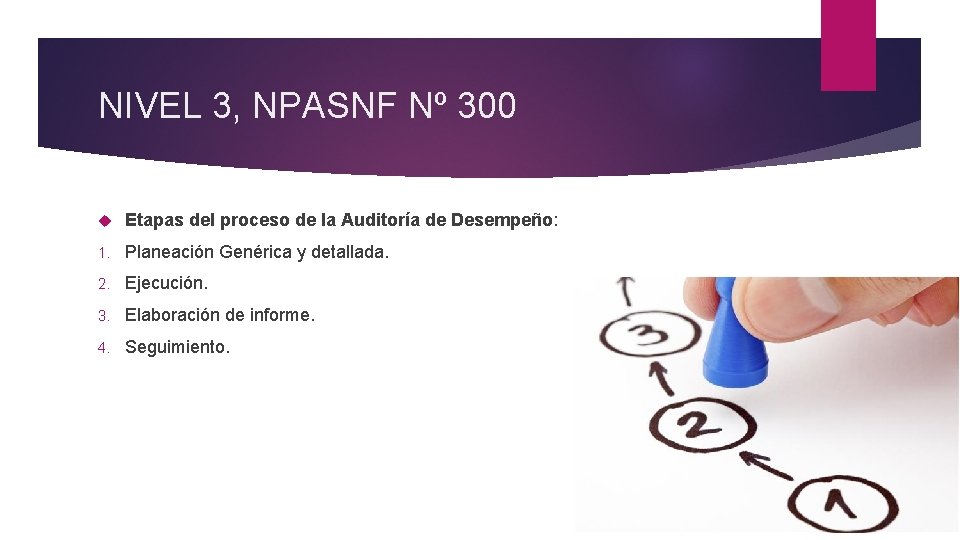 NIVEL 3, NPASNF Nº 300 Etapas del proceso de la Auditoría de Desempeño: 1.