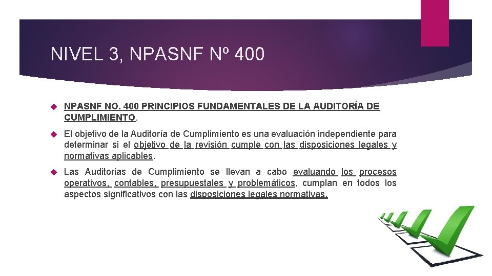 NIVEL 3, NPASNF Nº 400 NPASNF NO. 400 PRINCIPIOS FUNDAMENTALES DE LA AUDITORÍA DE