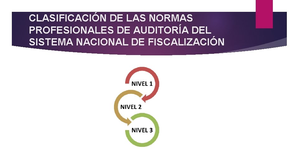 CLASIFICACIÓN DE LAS NORMAS PROFESIONALES DE AUDITORÍA DEL SISTEMA NACIONAL DE FISCALIZACIÓN 