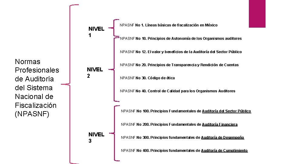 NIVEL 1 Normas Profesionales de Auditoría del Sistema Nacional de Fiscalización (NPASNF) NPASNF No