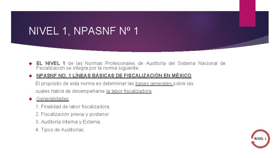 NIVEL 1, NPASNF Nº 1 EL NIVEL 1 de las Normas Profesionales de Auditoría
