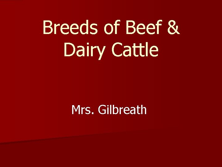 Breeds of Beef & Dairy Cattle Mrs. Gilbreath 